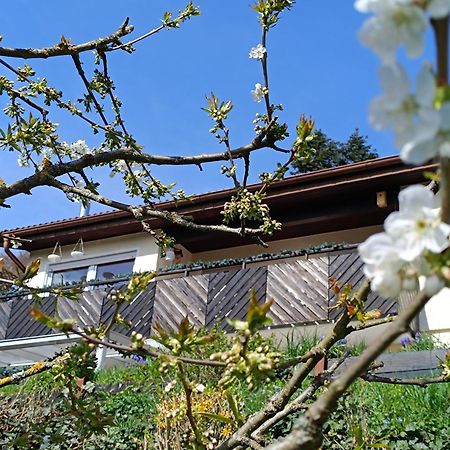 Ferienwohnung Zum Maerchenwald Bergfreiheit Екстериор снимка