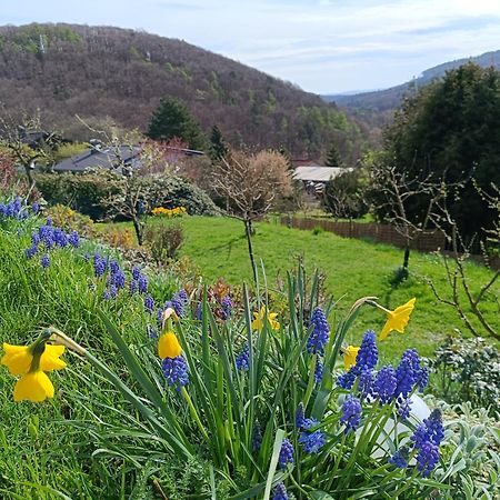 Ferienwohnung Zum Maerchenwald Bergfreiheit Екстериор снимка