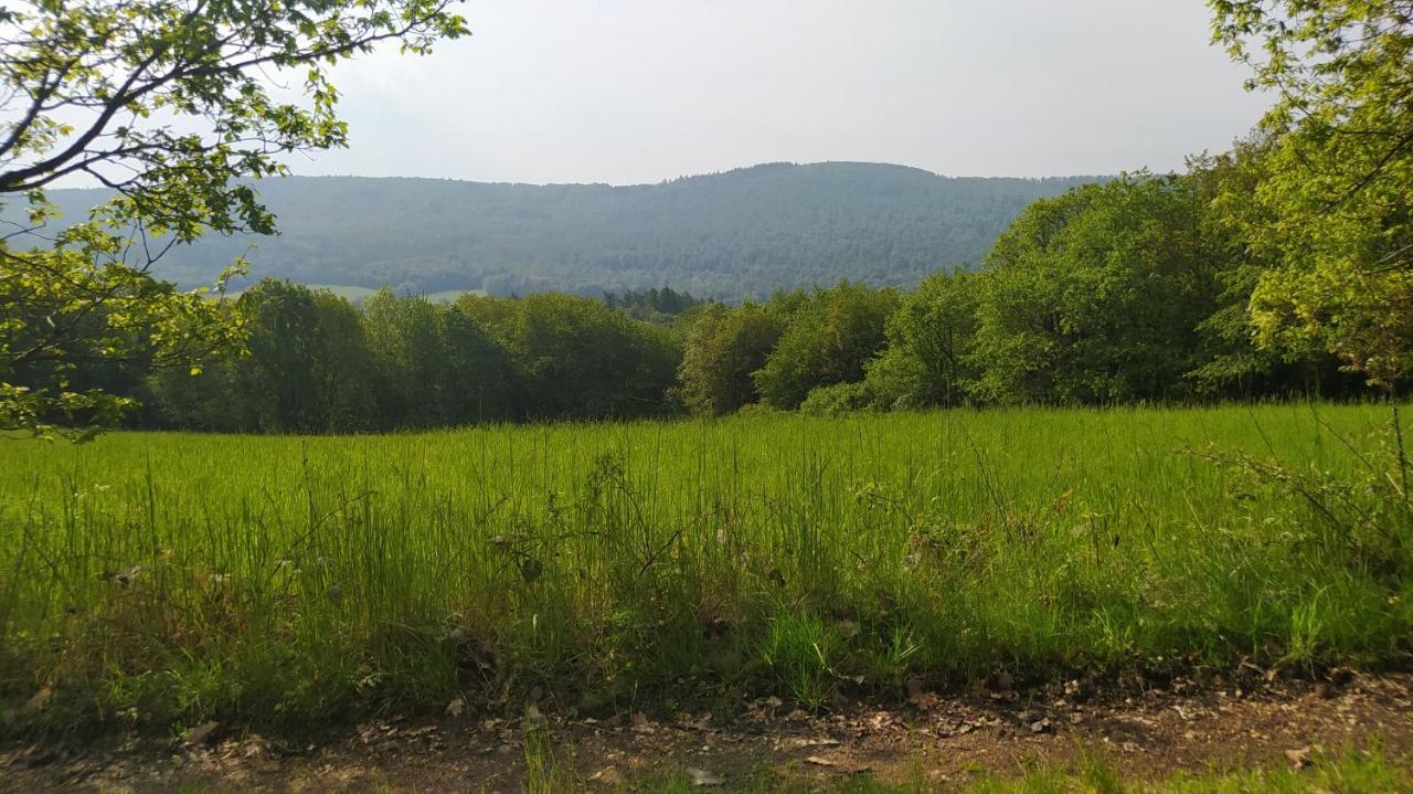 Ferienwohnung Zum Maerchenwald Bergfreiheit Екстериор снимка