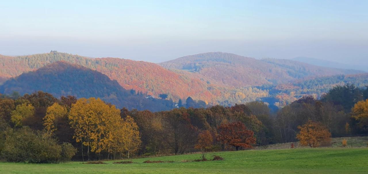 Ferienwohnung Zum Maerchenwald Bergfreiheit Екстериор снимка