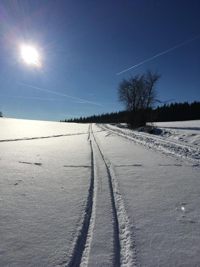 Ferienwohnung Zum Maerchenwald Bergfreiheit Екстериор снимка