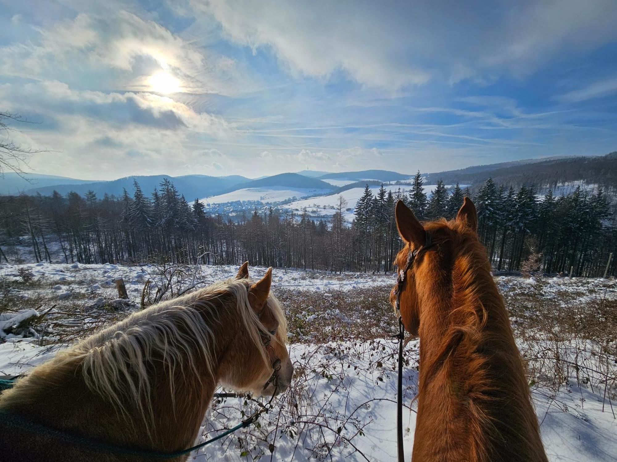 Ferienwohnung Zum Maerchenwald Bergfreiheit Екстериор снимка
