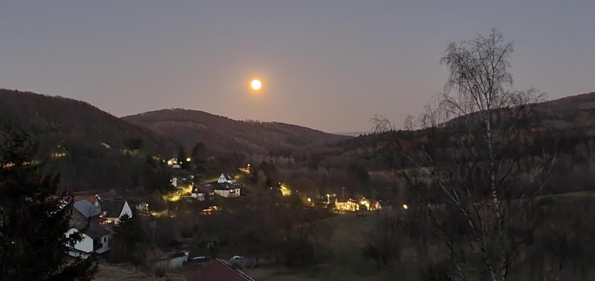 Ferienwohnung Zum Maerchenwald Bergfreiheit Екстериор снимка
