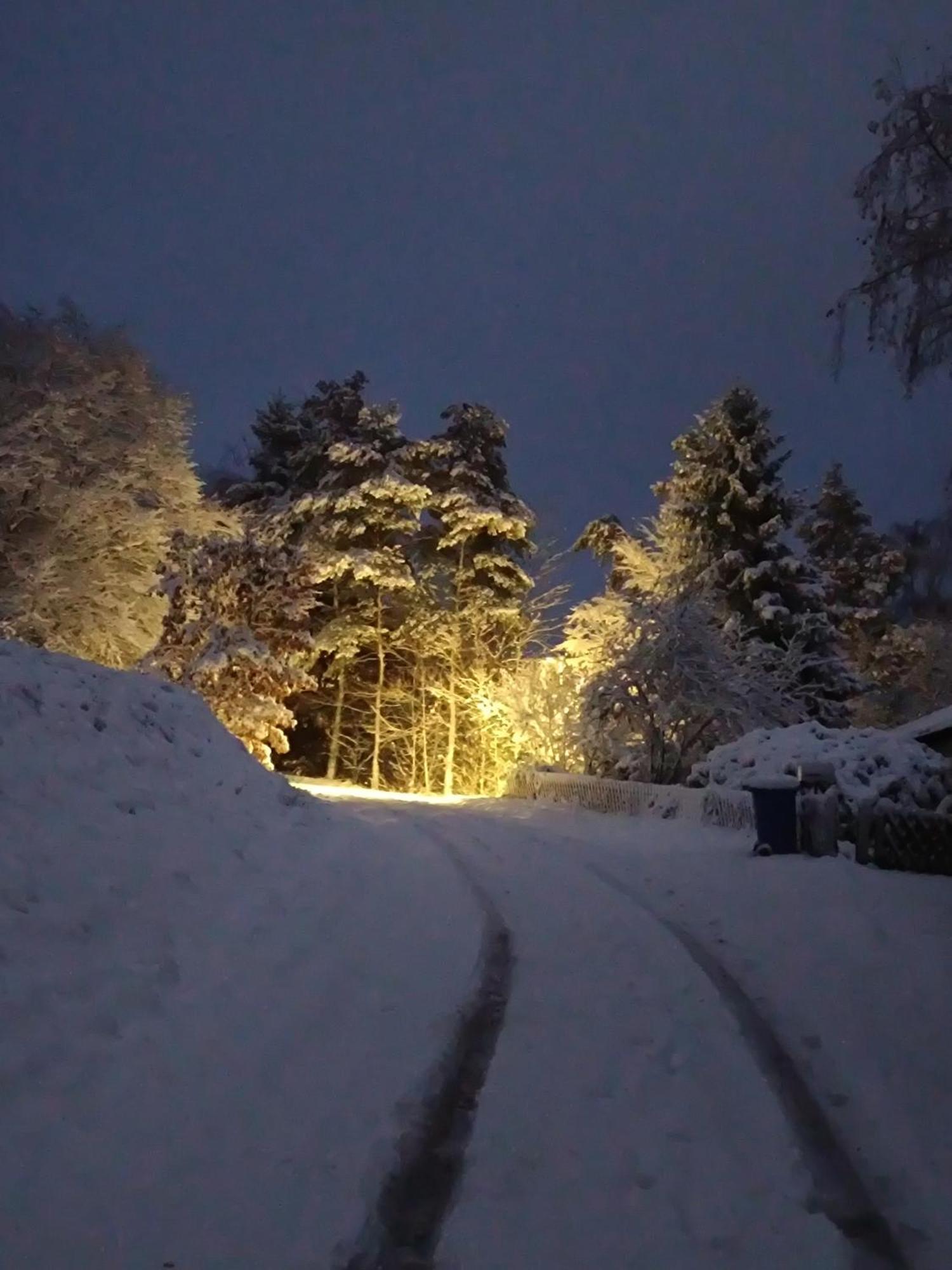 Ferienwohnung Zum Maerchenwald Bergfreiheit Екстериор снимка