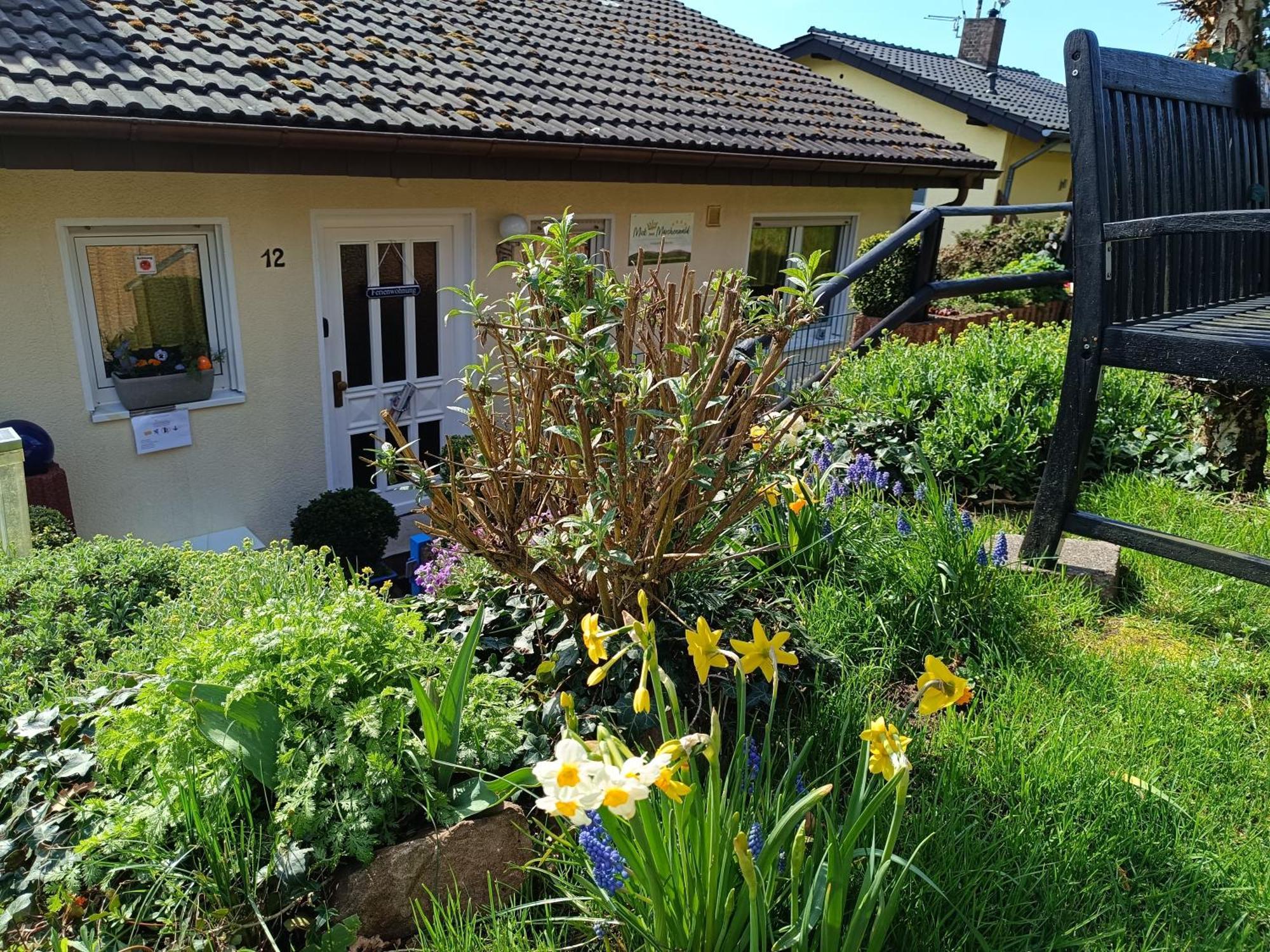Ferienwohnung Zum Maerchenwald Bergfreiheit Екстериор снимка