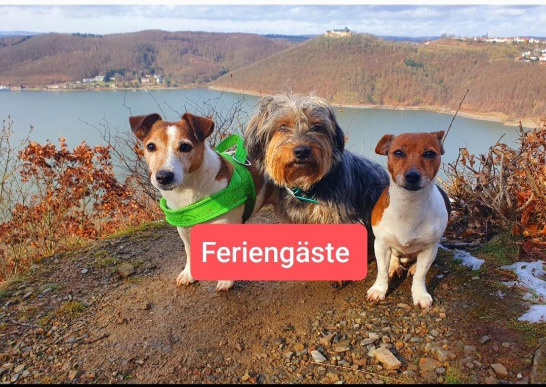 Ferienwohnung Zum Maerchenwald Bergfreiheit Екстериор снимка