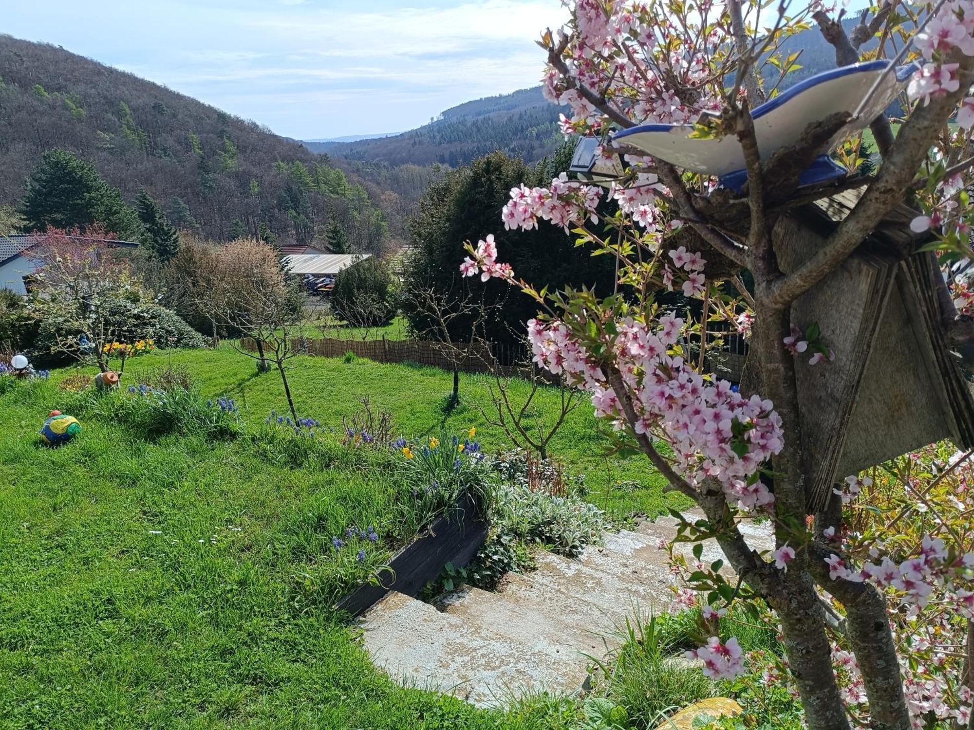 Ferienwohnung Zum Maerchenwald Bergfreiheit Екстериор снимка